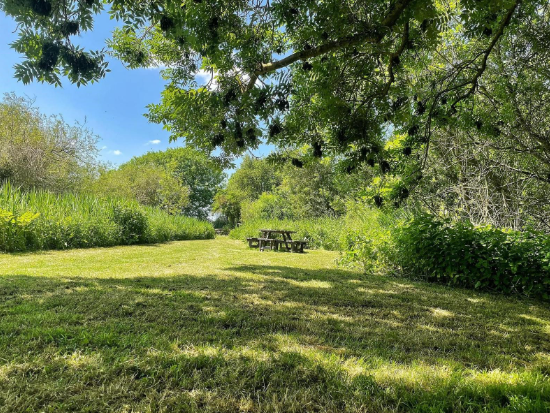 Holt Island bench