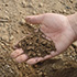 Soil