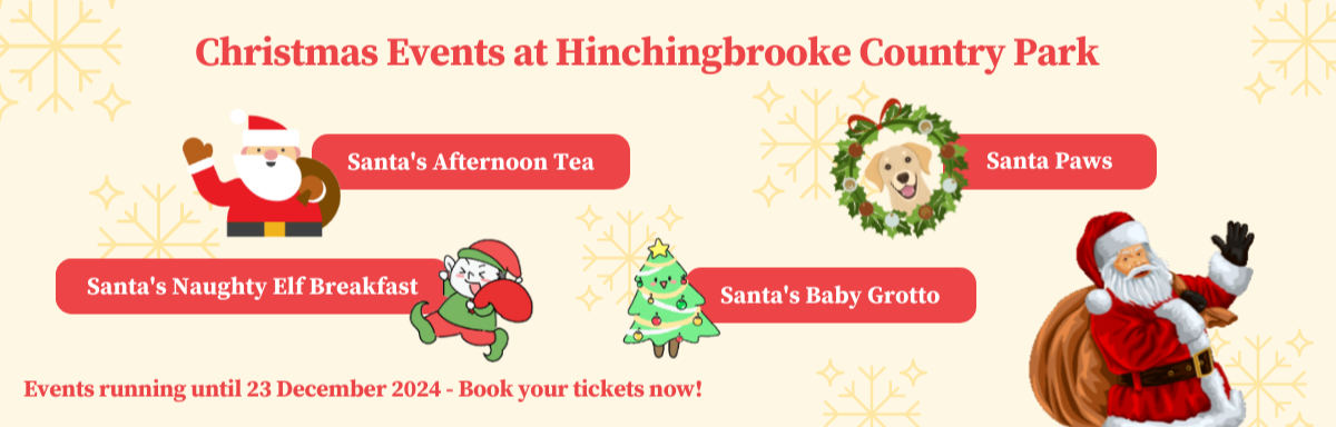 Christmas Events at Hinchingbrooke Country Park