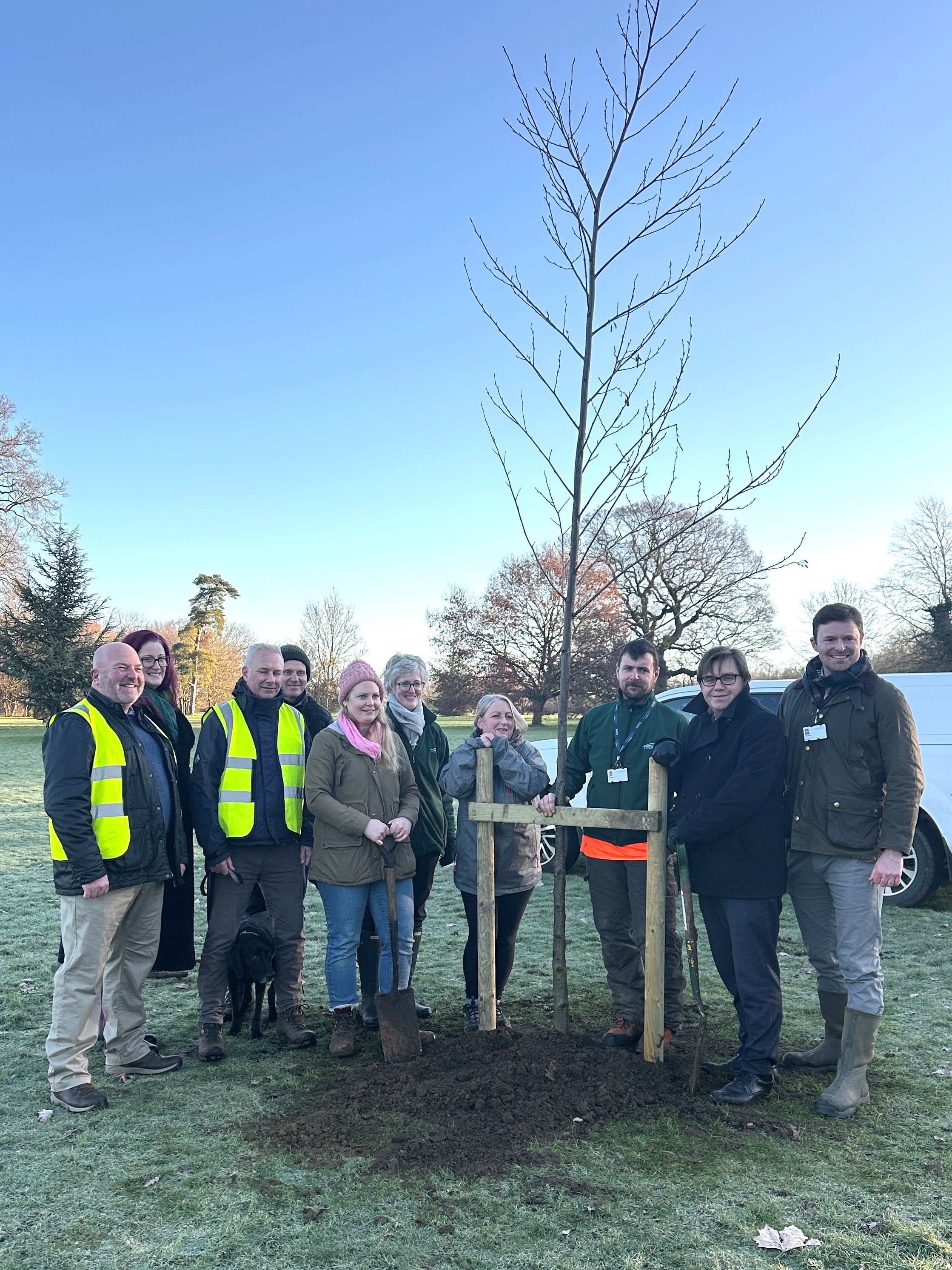 tree planting